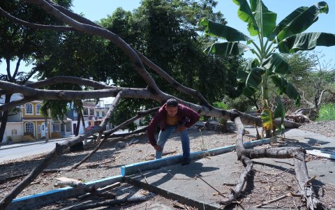 Árboles caídos, maleza y basura hay en las áreas verdes, que impiden que los residentes de la Huancavilca Norte puedan recrearse.