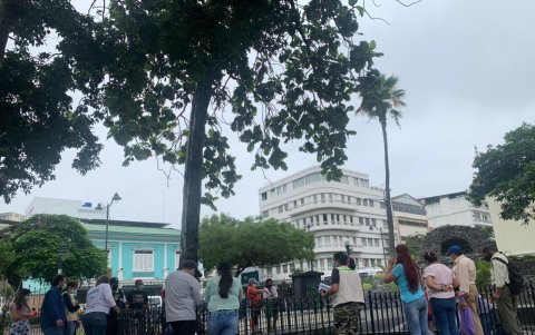 Instante en el que las especies fueron transportadas a la Fundación Proyecto Sacha.