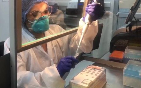 Los procesos de secuenciación  genómica son complejos, demoran de 7 a 12 días y requieren de insumos que lo encarecen.