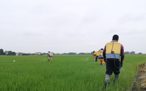 Se plantea dejar de producir en zona altas.
