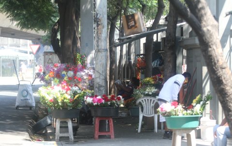 Los puestos de flores en el Cementerio General obligan a los peatones a usar la vía, expertos sugieren que se les construyan cubículos internos para que permitan el paso.