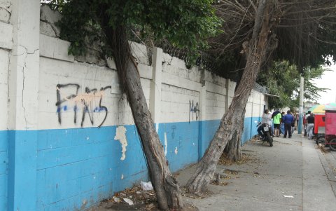 Un árbol añoso está a punto de caer sobre la pared despintada del colegio Provincia de Cotopaxi, en el sur de la urbe.