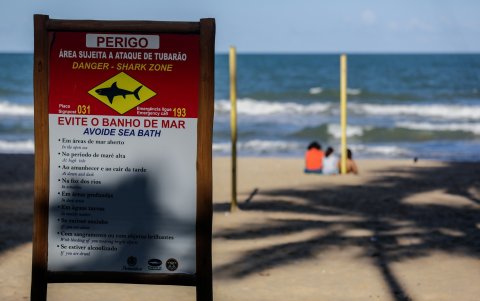 Fotografía que muestra un cartel de peligro que advierte la presencia de tiburones, el 12 de agosto de 2021, en Jaboatao dos Guararapes (Brasil).