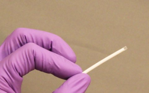 Tienen el tamaño de un palillo de fósforo