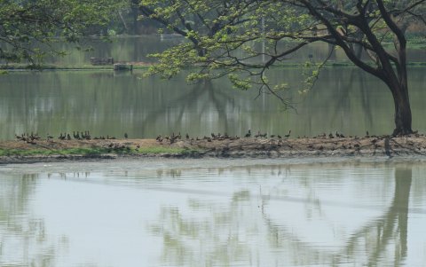 La ciudadanía pide rescatar y darle un buen tratamiento a las lagunas, con urgencia.