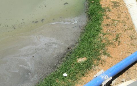 Imagen captada por EXPRESO de las aguas que se observan en la planta de tratamiento Guayacanes-Samanes