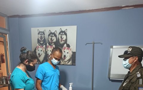 En un centro de rescate animal valoraron recientemente a una zarigüeya rescatada por la Unidad de Policía de Medio Ambiente. Uno de los agentes policiales observa