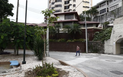 Este es el árbol que está creciendo en el Parque del Amor, en Lomas de Urdesa; donde hasta hace 4 meses hubo una acacia roja.