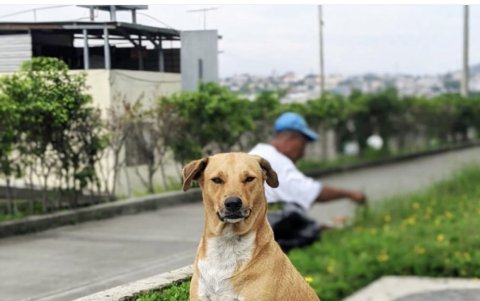 Súper es uno de los más famosos del complejo. Muchos le toman fotos y graban videos.