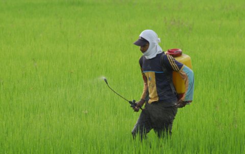 Los insecticidas también suben de precio.