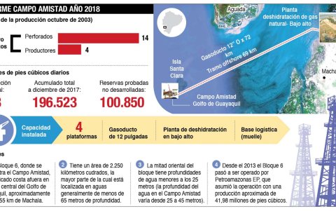 Los detalles del campo Amistad.