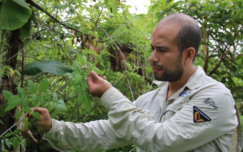 Diego Ortiz, investigador de ecología y biología molecular de la Universidad San Francisco de Quito (USFQ).