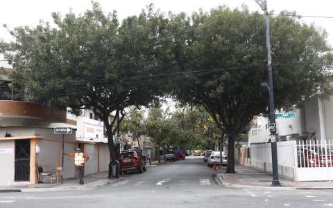 BARRIO ORELLANA, CALLE LUIS VERNAZA CON ARBOLES.