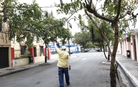 Hecho. Las ramas son topadas por los ciudadanos, por lo que piden una poda.