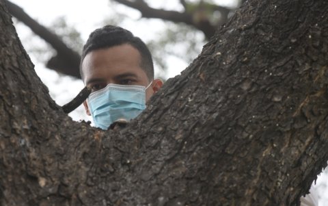 Hecho. Las mariquitas fueron liberadas este martes 21 de septiembre.