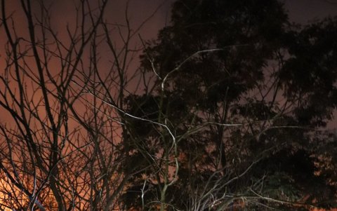 El incendio que ocurrió el martes 21 de septiembre por la noche, en el cerro Colorado.
