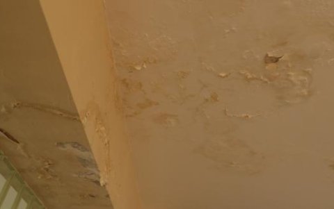 Los abuelitos tienen que convivir con el polvillo y el moho.