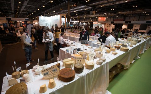 Gourmet Queso, campeonato de los mejores quesos de España 2021.