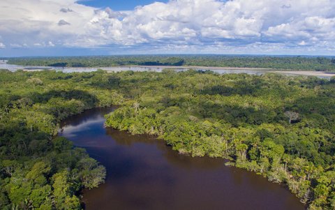En 1989, el Parque Nacional Yasuní fue declarado reserva de la biosfera por la UNESCO.