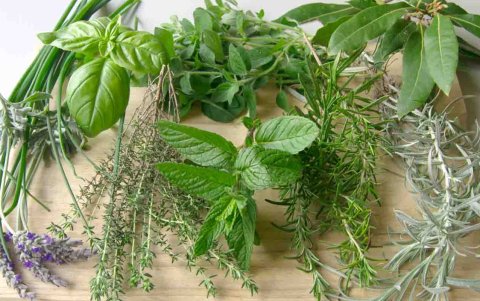 En lugar de sazonar con más sal, aromatice con estas hierbas