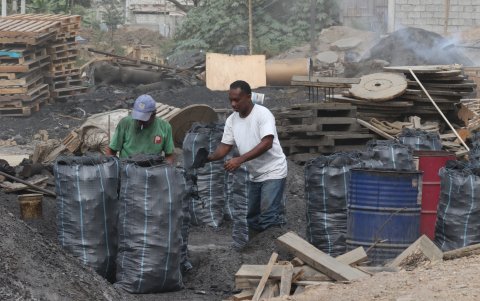 Precios. Cada saco se vende según la calidad. Hay unos que pueden costar hasta $ 30.