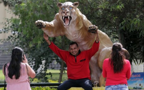 Fotografías. Los felinos de Pomasqui atraen a los visitantes que se toman fotografías.