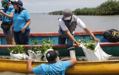 Participación. Diferentes voluntarios, funcionarios, trabajadores y miembros de fundaciones acudieron a esta actividad