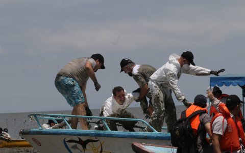 Figura. El ministro de Ambiente también participó en la siembra.
