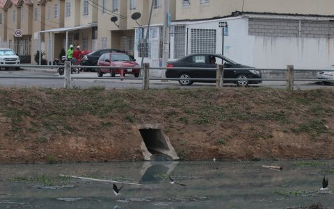 Los habitantes de las casas que colindan con el canal dicen no soportar la cantidad de mosquitos que este genera por el estado de sus aguas.