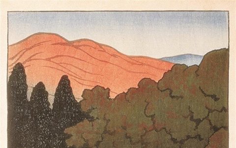 Imagen facilitada del grabado 