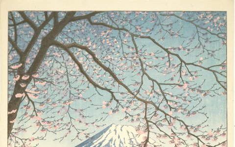 Imagen facilitada del grabado 