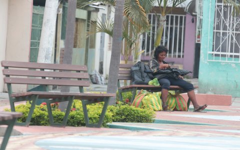 El parque la ciudadela se han convertido en hoteles de paso para mendigois y drogadictos.