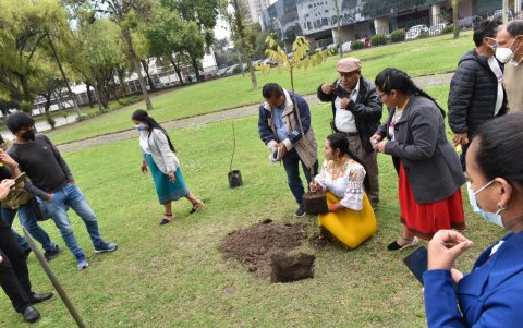 Acto. Los indígenas tuvieron una jornada de siembra de árboles.