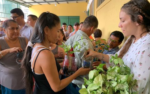 Entrega de plantas purificadoras de aire en la Parroquia Cristo Rey.