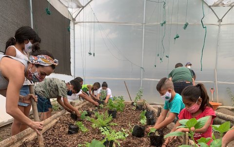 Siembra de plantas en vivero inclusivo de Nuevo Ceibo.