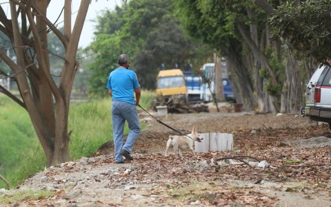 Referencial. La mayoría de conflictos entre vecinos se suscitan por mascotas, ya sea por desechos o falta de control.