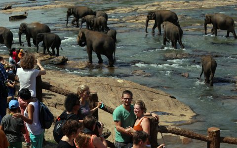Turistas se sacan fotos con elefantes en un hogar para paquidermos huérfanos.