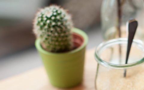 El consumo moderado de café posiblemente reduce el riesgo de contraer algunos tipos de cáncer y también diabetes tipo 2