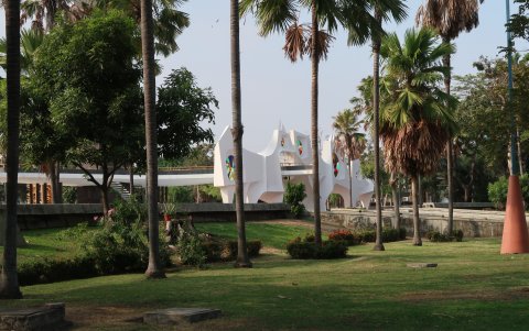 Cuidado. Se pide más atención en la poda y mantenimiento de árboles.