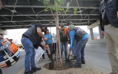 Apoyo.- Miembros del club de motociclistas Guayaquil Riders MC son padrinos de algunos de los nuevos árboles que se han sembrado en la avenida Narcisa de Jesús.