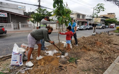 Acción. Ciudadanos junto al Municipio han empezado a sembrar árboles ante el pedido y reclamo de la gente.