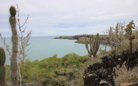 Fotografía de la bahía el 13 de noviembre de 2021 en la isla de Santa Cruz, en el archipiélago de Galápagos (Ecuador).