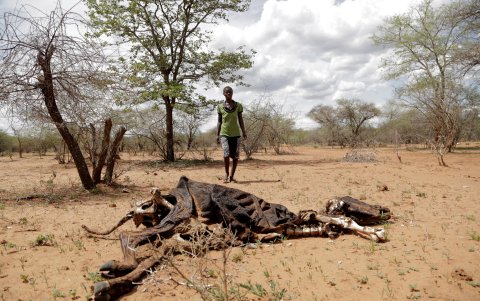 Proyección. El cambio climático puede afectar a 1.200 millones de personas en 2070.