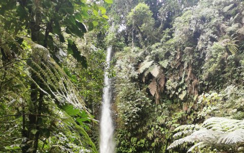 La  vegetación y cascadas lo deslumbrarán  durante su recorrido