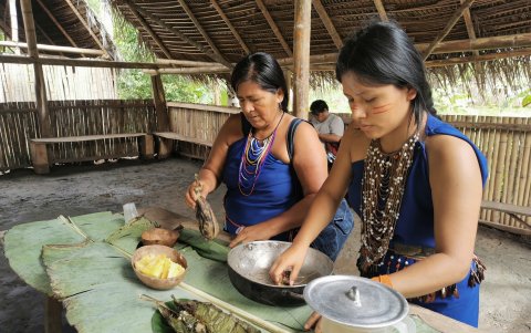 Mujeres de la Amazonía dedicadas a cocinar