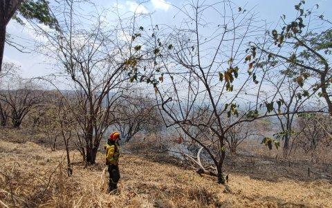 Siniestro. Al día siguiente del incendio diferentes organismos evaluaron los daños.