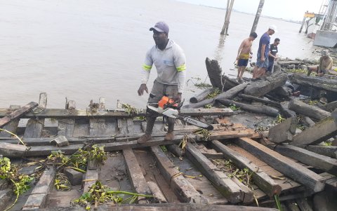 Actividad. La tarea de llimpieza se cumplió hace pocos días