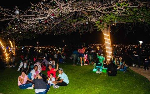 Los árboles se llenaron de luces en El Tablazo.