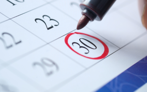 Te contamos los feriados del 2024.