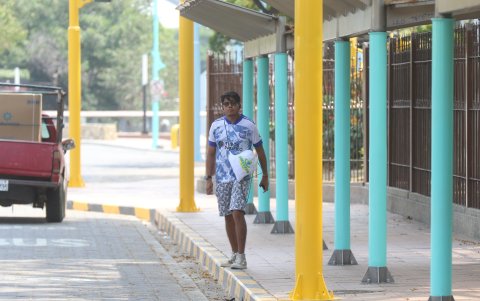 Incluso las estructuras de los paraderos de buses están hoy coloridos.